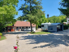Campingrosengarten